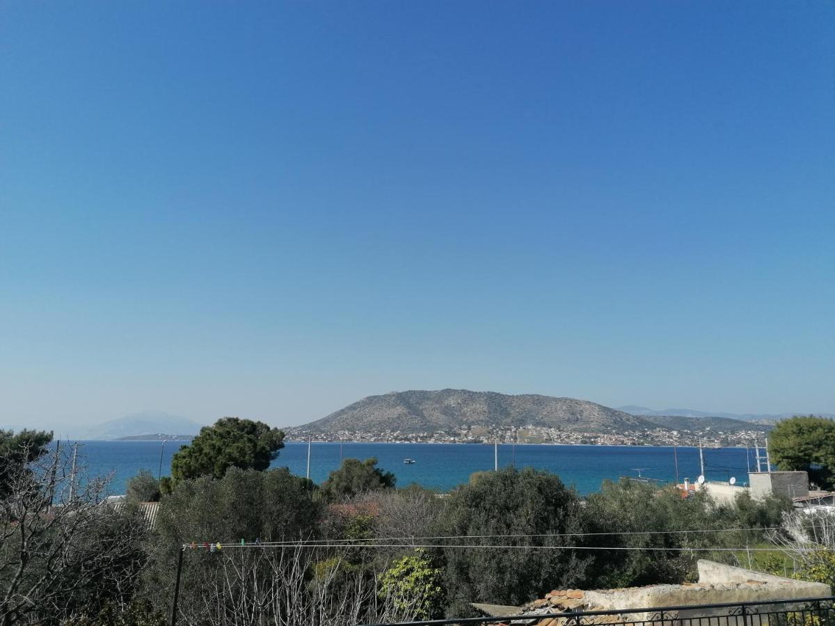 Вилла Welcome In Salamina Экстерьер фото